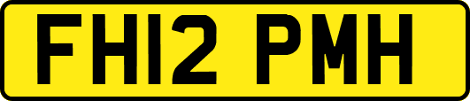 FH12PMH