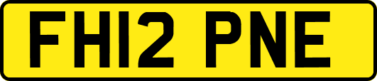 FH12PNE