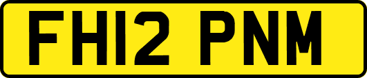 FH12PNM