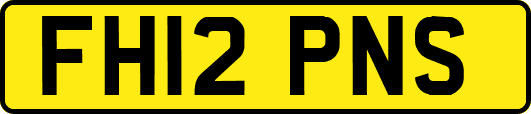 FH12PNS