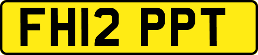 FH12PPT