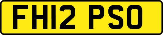 FH12PSO