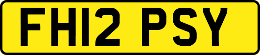 FH12PSY
