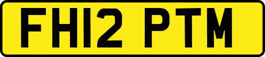 FH12PTM