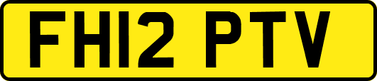 FH12PTV