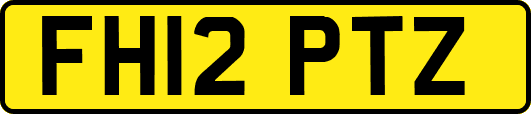 FH12PTZ