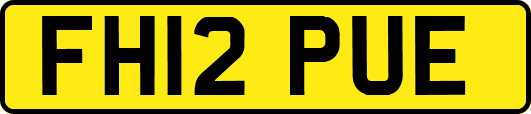 FH12PUE