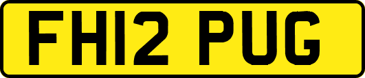 FH12PUG