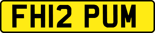 FH12PUM