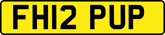 FH12PUP