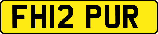 FH12PUR
