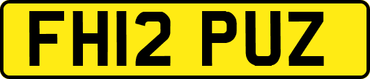 FH12PUZ