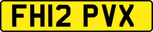 FH12PVX