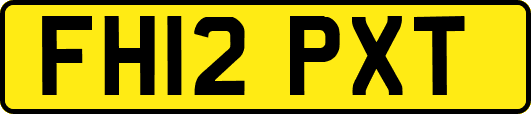 FH12PXT