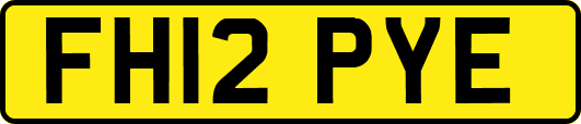 FH12PYE