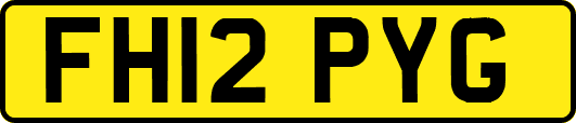 FH12PYG
