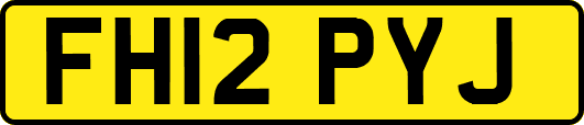 FH12PYJ