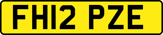 FH12PZE