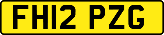 FH12PZG