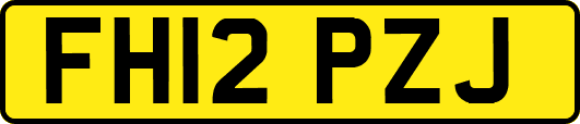 FH12PZJ