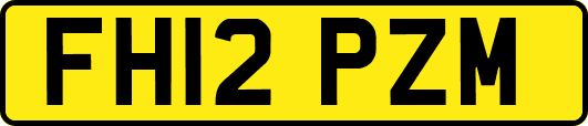 FH12PZM