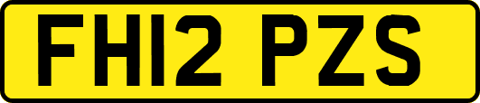 FH12PZS