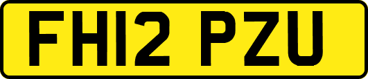 FH12PZU