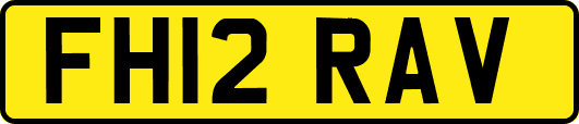 FH12RAV