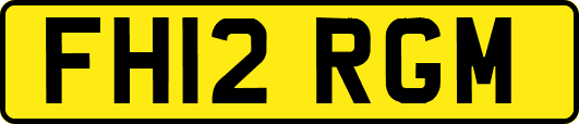 FH12RGM