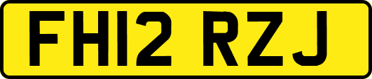 FH12RZJ