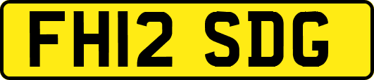 FH12SDG