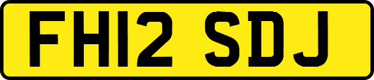FH12SDJ