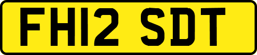 FH12SDT