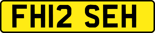FH12SEH