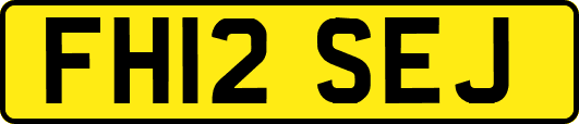FH12SEJ