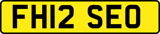 FH12SEO
