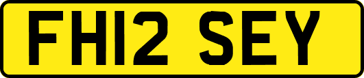 FH12SEY