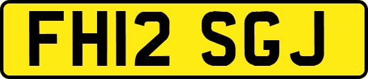 FH12SGJ