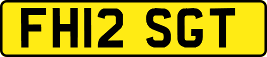FH12SGT