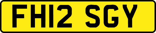 FH12SGY