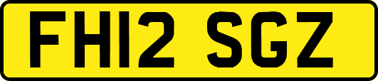 FH12SGZ