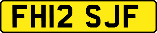 FH12SJF