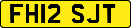 FH12SJT