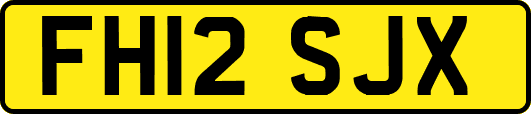 FH12SJX
