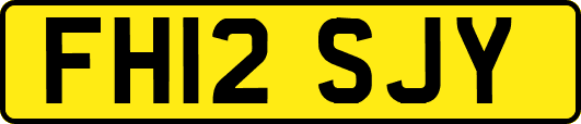 FH12SJY