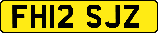 FH12SJZ
