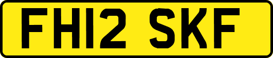 FH12SKF