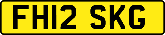 FH12SKG