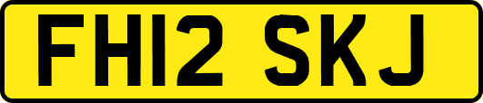FH12SKJ