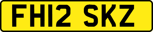 FH12SKZ